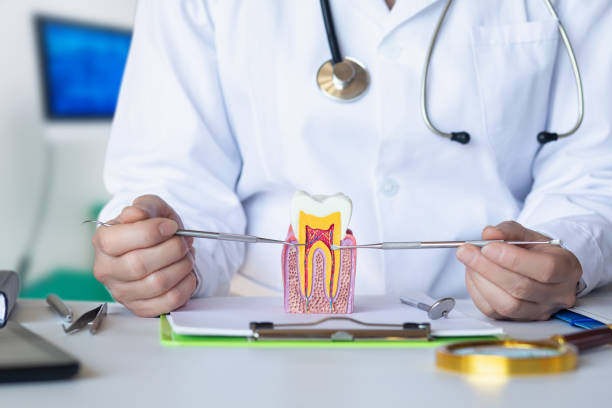 Best After-Hours Dental Trauma Care in Fetters Hot Springs Agua Liente, CA